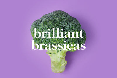 What Do You Know About Brilliant Brassicas?